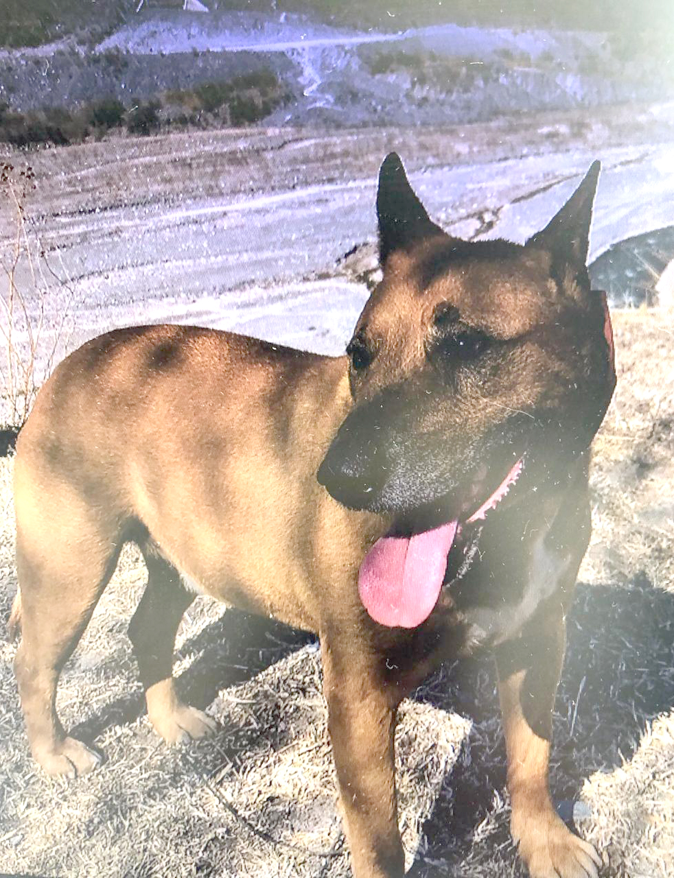 Imagen de publicación